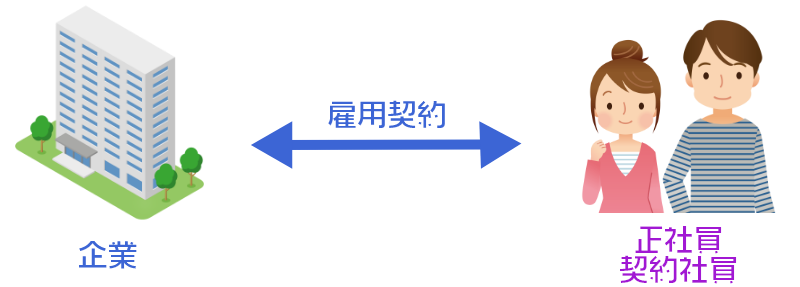 正社員として勤務